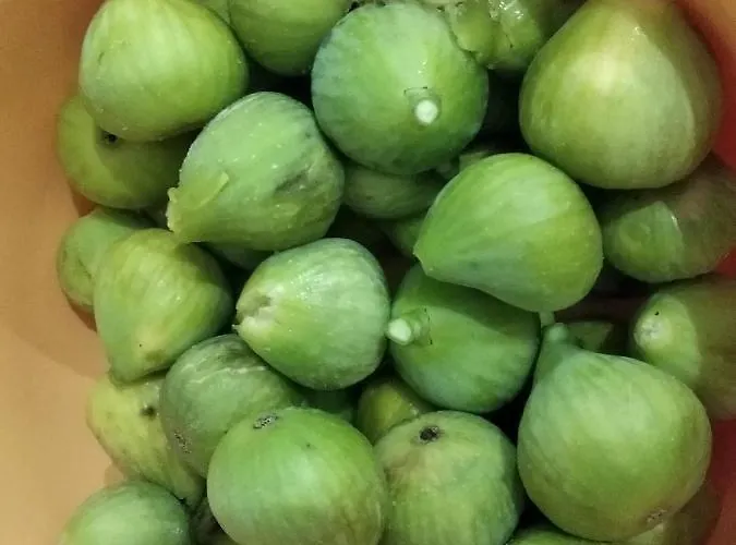 Beachfront 아파트 *