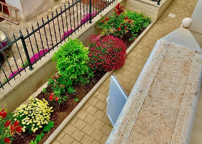 Beachfront 아파트